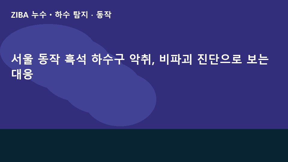 서울 동작 흑석 하수구 악취, 비파괴 진단으로 보는 대응