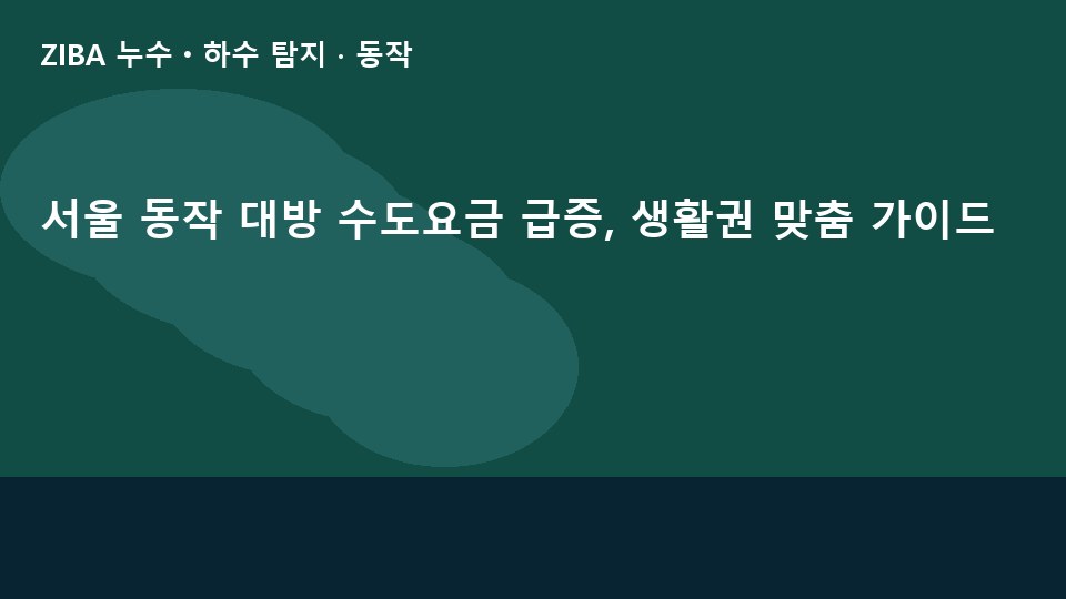 서울 동작 대방 수도요금 급증, 생활권 맞춤 가이드