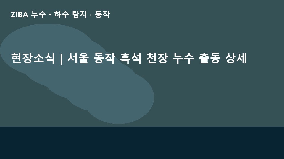 현장소식 | 서울 동작 흑석 천장 누수 출동 상세