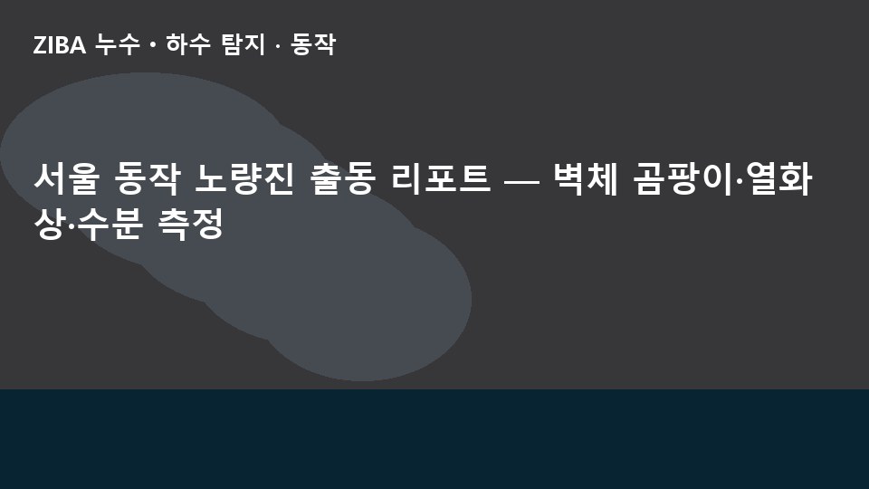 서울 동작 노량진 출동 리포트 — 벽체 곰팡이·열화상·수분 측정
