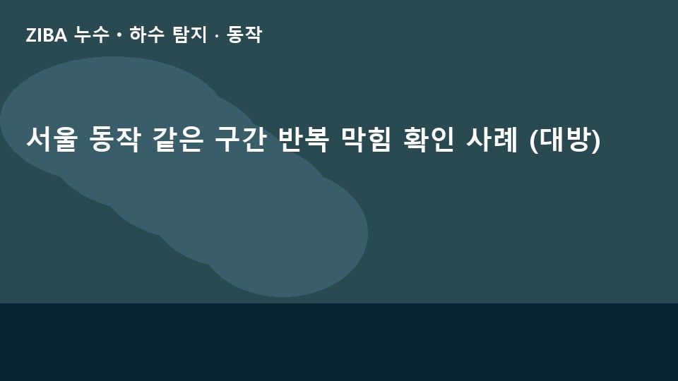 서울 동작 같은 구간 반복 막힘 확인 사례 (대방)