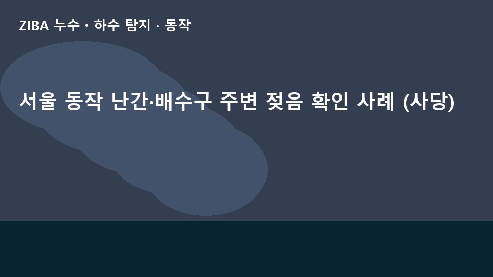 서울 동작 난간·배수구 주변 젖음 확인 사례 (사당)